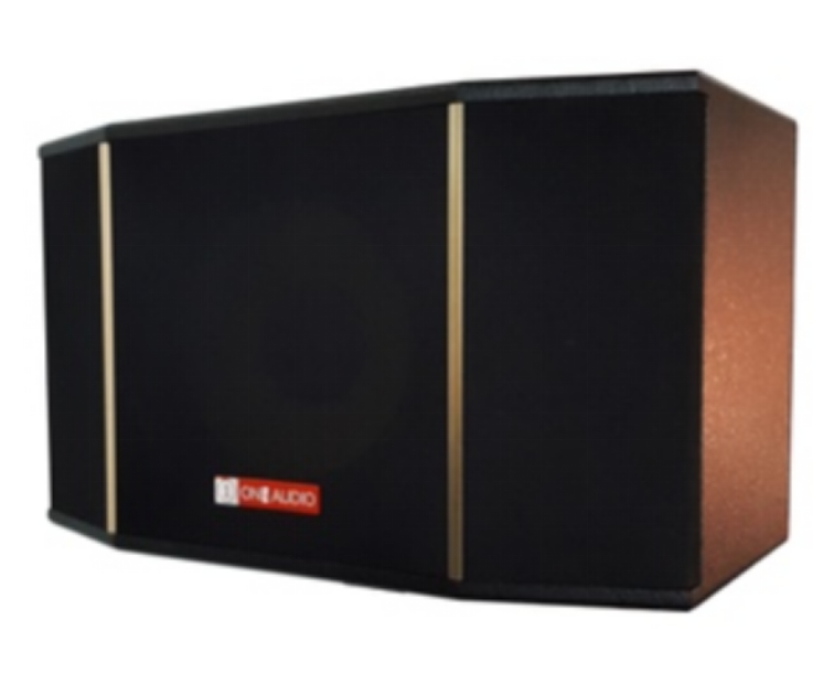 10-inch full-frequency private room speaker (customized to order) K1